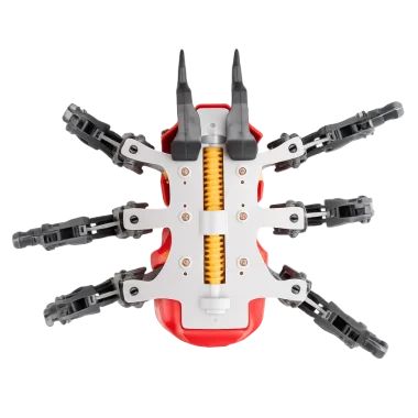 Spider Bot