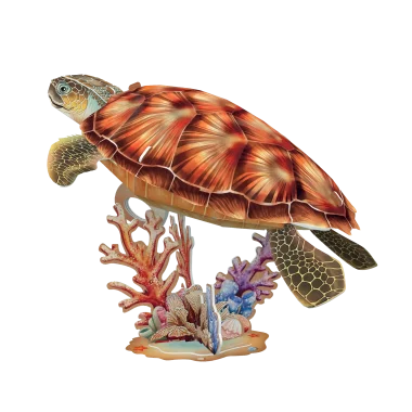 Tortuga Marina National Geographic