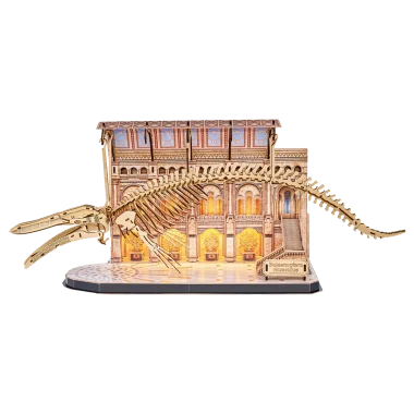 Museo LED Ballena Azul